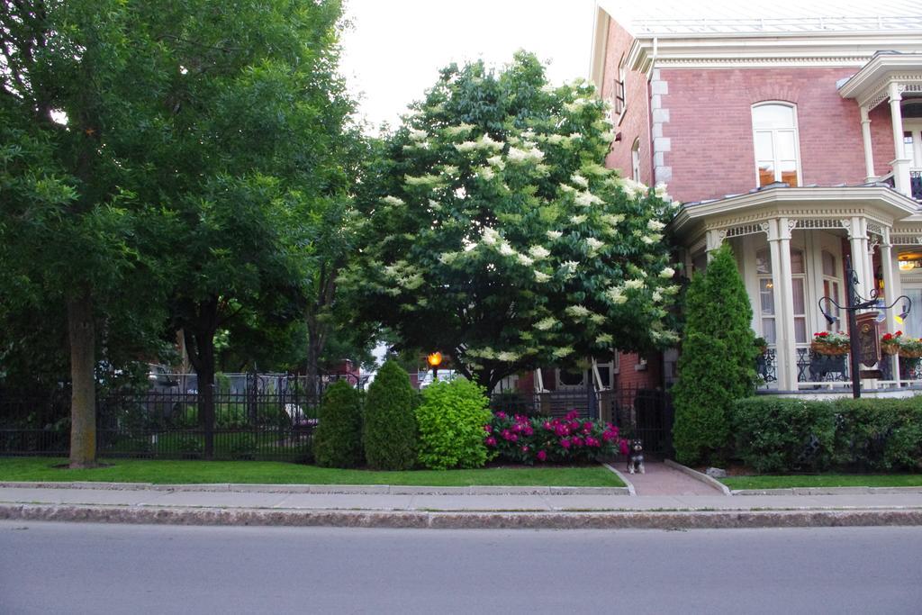 Gite Loiselle Trois-Rivières Esterno foto